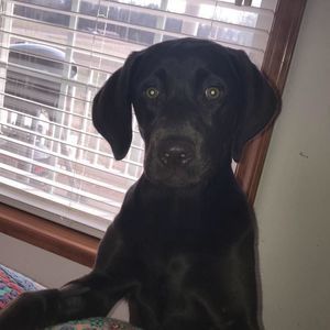 Meet your Posher, Jada